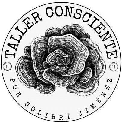 Taller Consciente 11